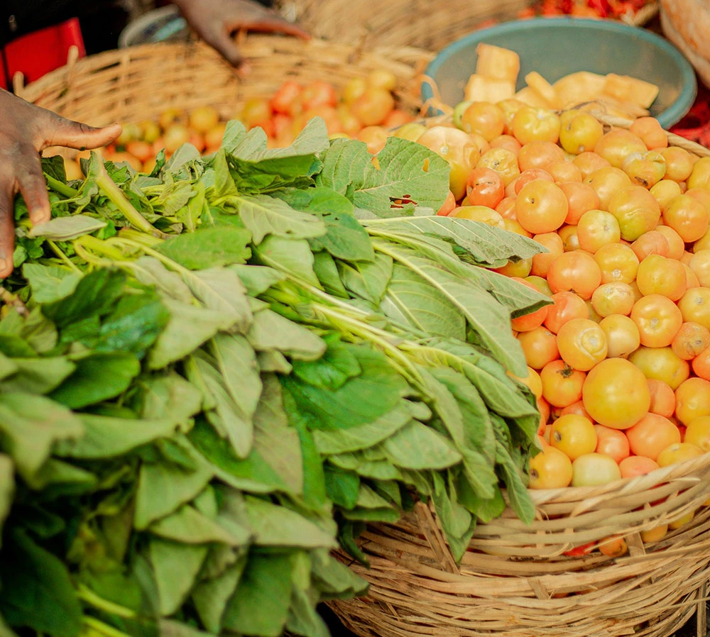 There are many variations of passages of Lorem Ipsum available, but majority have suffered teration in some form, by injected humour, or randomised words which don't look even slight believable. If you are going to use a passage of Lorem Ipsum.